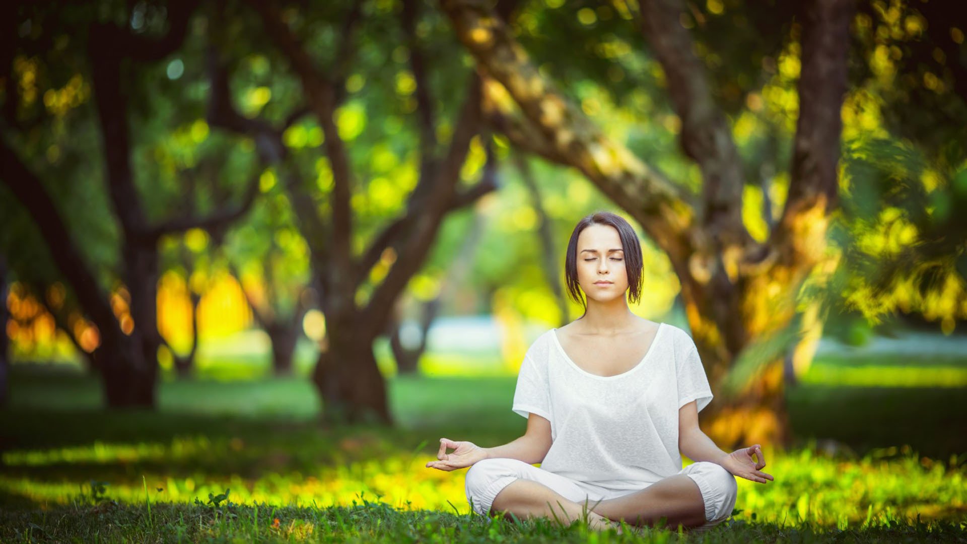 樊振东单杆1分引热议,跨界破圈,乒乓国手的新挑战
